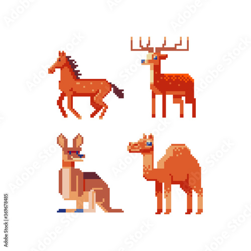 Safari animals characters pixel art icons set, kangaroo, deer, camel and horse. Design element of children's book, application, logo, sticker. Game assets 8-bit sprite. Isolated vector illustration.