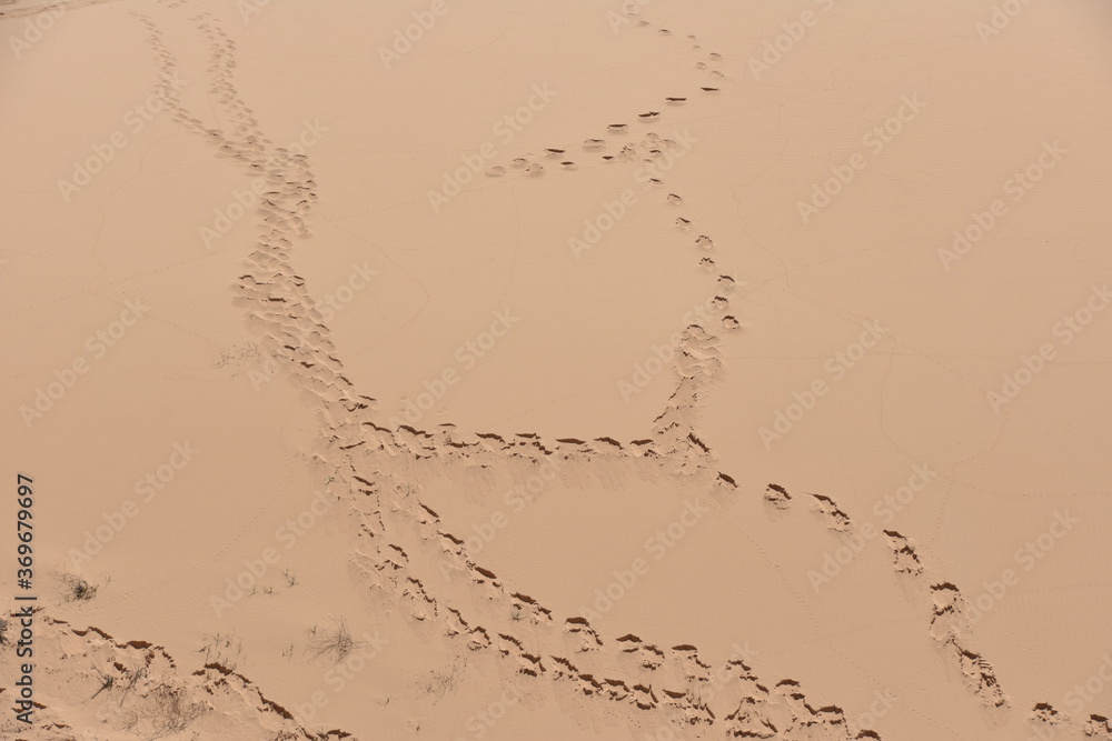 Full Frame Sand Dune Wall at White Sand Dunes, Mui Ne, Vietnam