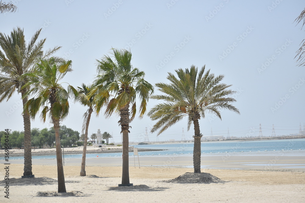 After driving for about 90 minutes from Abu Dhabi city along E11, the arterial highway, you can reach Al Mirfa Beach.