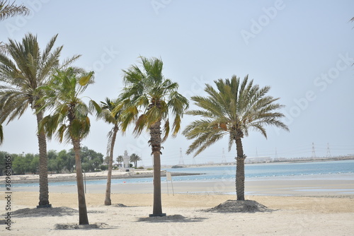 After driving for about 90 minutes from Abu Dhabi city along E11, the arterial highway, you can reach Al Mirfa Beach. © Amel