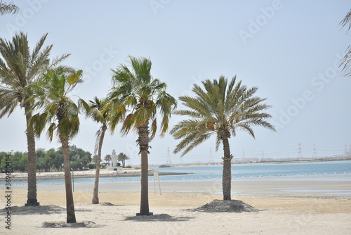 After driving for about 90 minutes from Abu Dhabi city along E11  the arterial highway  you can reach Al Mirfa Beach.