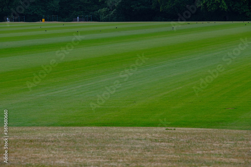 Cowdray Estate polo fields at Midhurst, West Sussex photo