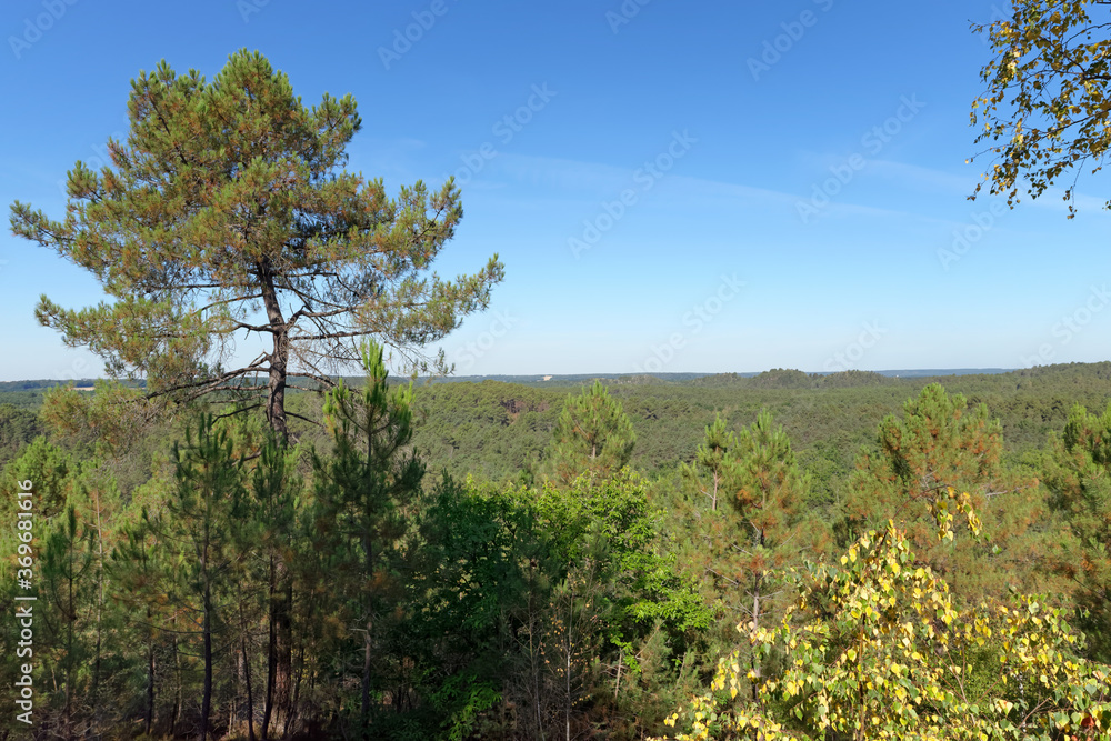 Circuit of 25 bumps panorama in Fontainebleau forest Circuit of 25 bumps panorama in Fontainebleau forest