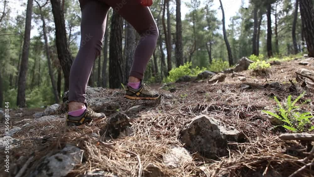 A girl with backpack walks through the forest, Hiking in the mountains, A woman is walking in the park, Active lifestyle, A woman goes camping in the mountains. A girl with backpack walks through the forest, Hiking in the mountains, A woman is walking in the park, Active lifestyle, A woman goes camping in the mountains.