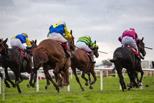 Race horses and jockeys racing towards the finish line