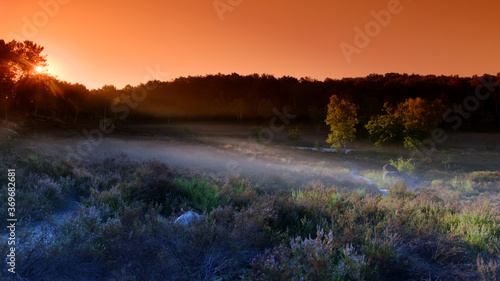 Sunrise in the hot valley. Fontainebleau forest