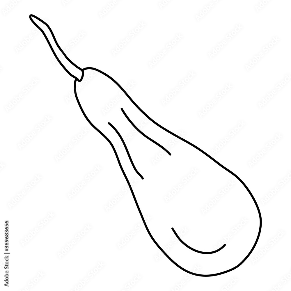Pear shaped pumpkin in doodle style. Isolated outline. Hand drawn vector illustration in black ink on white background. Great for coloring books. Farming garden theme. Pear shaped pumpkin in doodle style. Isolated outline. Hand drawn vector illustration in black ink on white background. Great for coloring books. Farming garden theme.