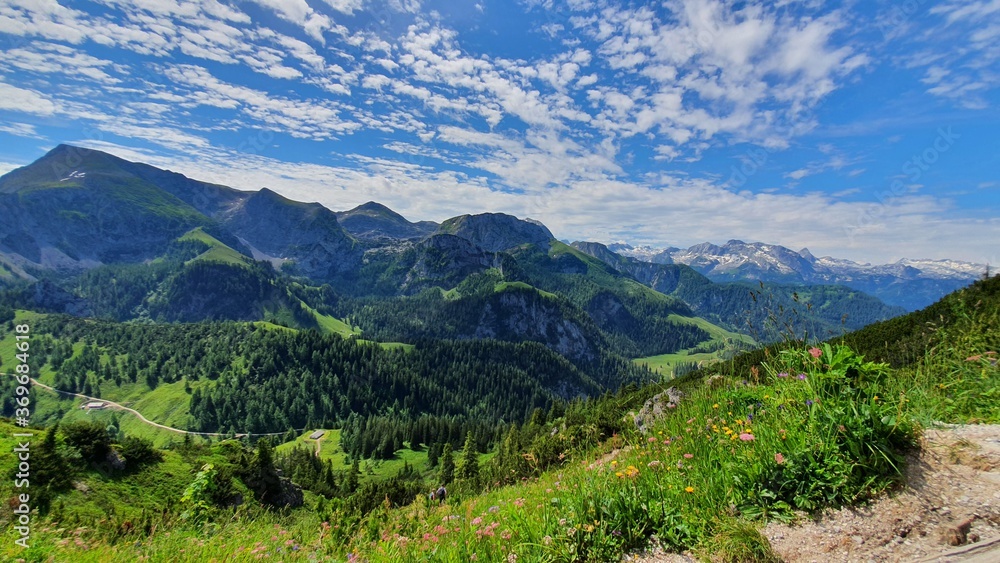 mountain alps landscape in summer in bavaria
