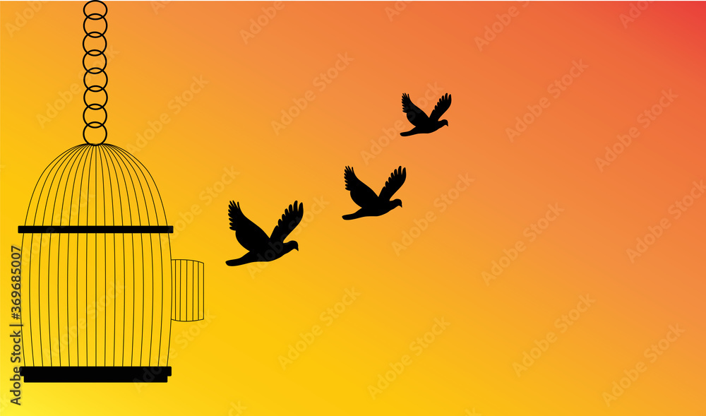 Fototapeta premium Freedom Concept,Bird Flying Out of Cage,stop cruelty to animals let animals be free in nature.