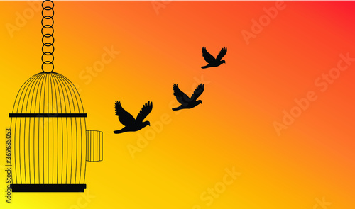 Freedom Concept,Bird Flying Out of Cage,stop cruelty to animals let animals be free in nature.