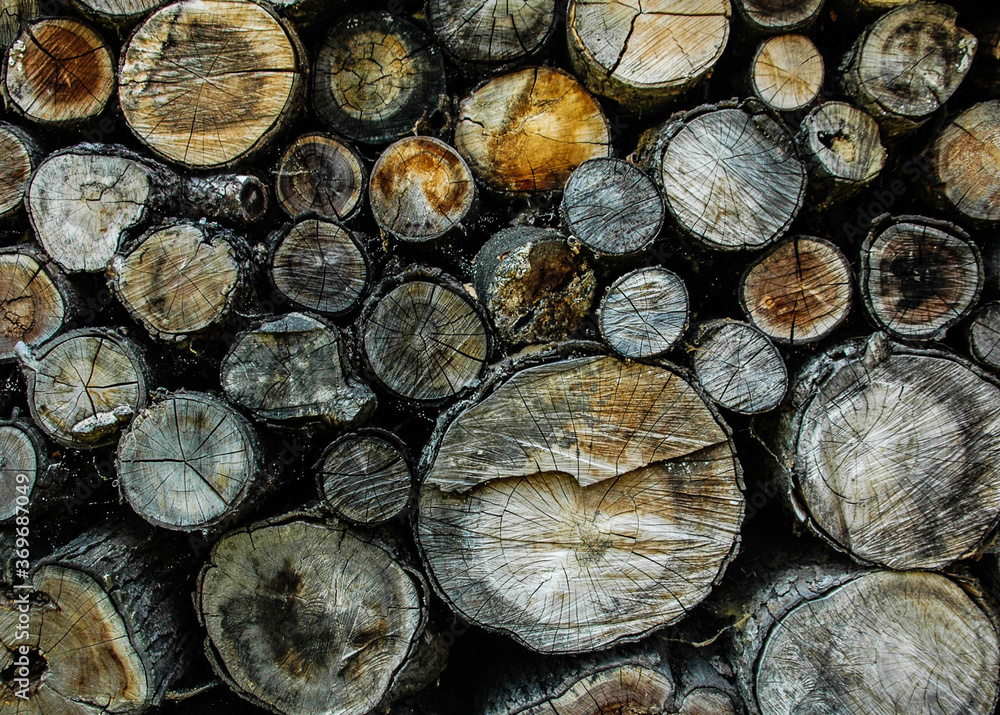 Wooden logs are decomposed by butt ends to the spectator. Background Wooden logs are decomposed by butt ends to the spectator. Background