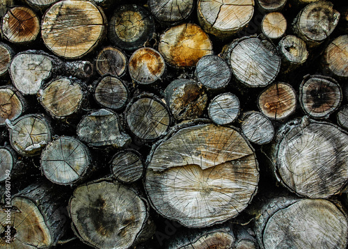 Wooden logs are decomposed by butt ends to the spectator. Background