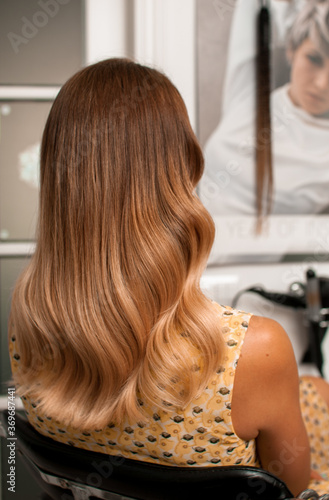 Portrait of a brown-haired woman with an elegant hairstyle,back view