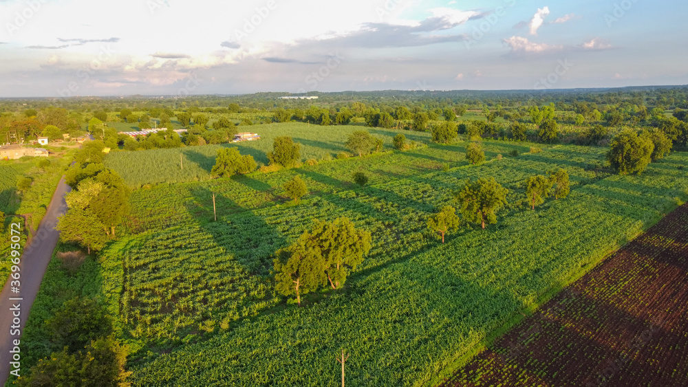 Fototapeta premium Aerial top view of agriculture field