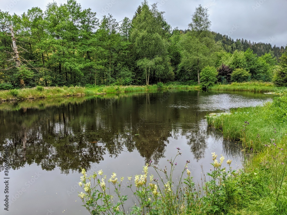 lake in the forest lake in the forest