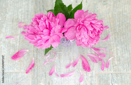 Two pink peony flowers in a vase on a gray stone table. Greeting romantic concert, Mother's day, Wedding. Top view, place for text, copy space.