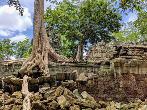 Bäume wachsen über die Ruinen von Angkor Wat