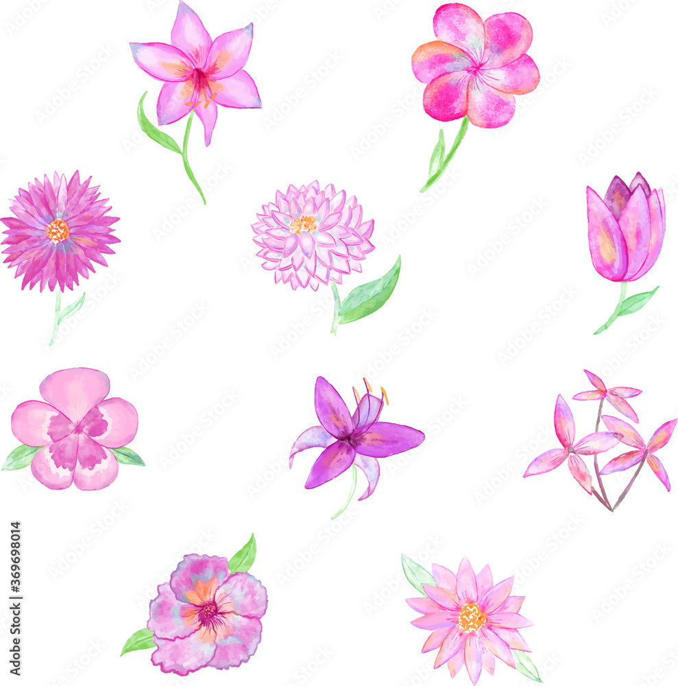 watercolour vector illustration set of pink flowers. watercolour vector illustration set of pink flowers.