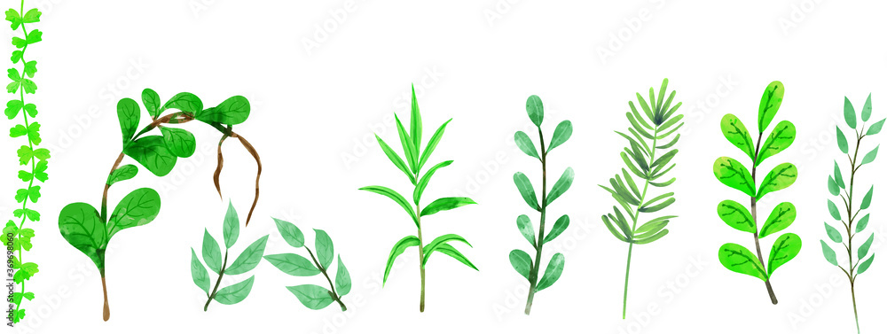 vector illustration of green grass watercolour art.