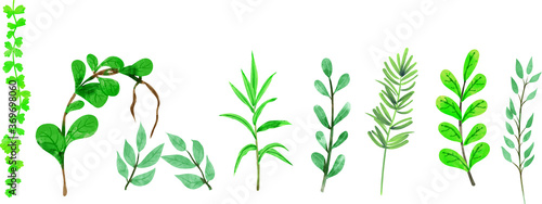 vector illustration of green grass watercolour art.