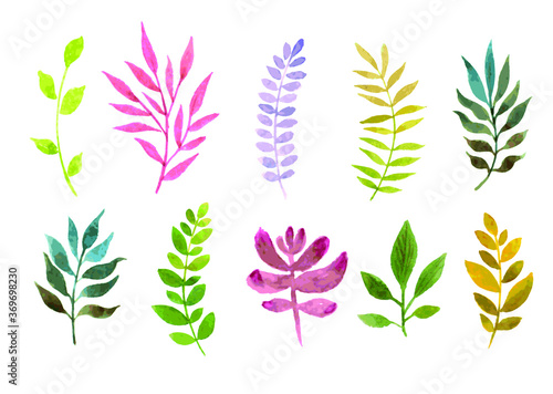 vector illustration set of colorful leaf branches.