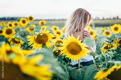 Young, slender girl in a white T-shirt poses at sunset in a field of sunflowers