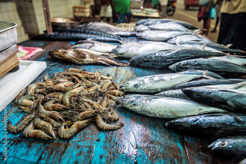 tuna fish and prawns at fish market