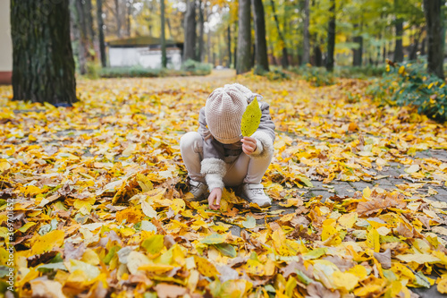 A little girl sits on the ground covered with orange leaves