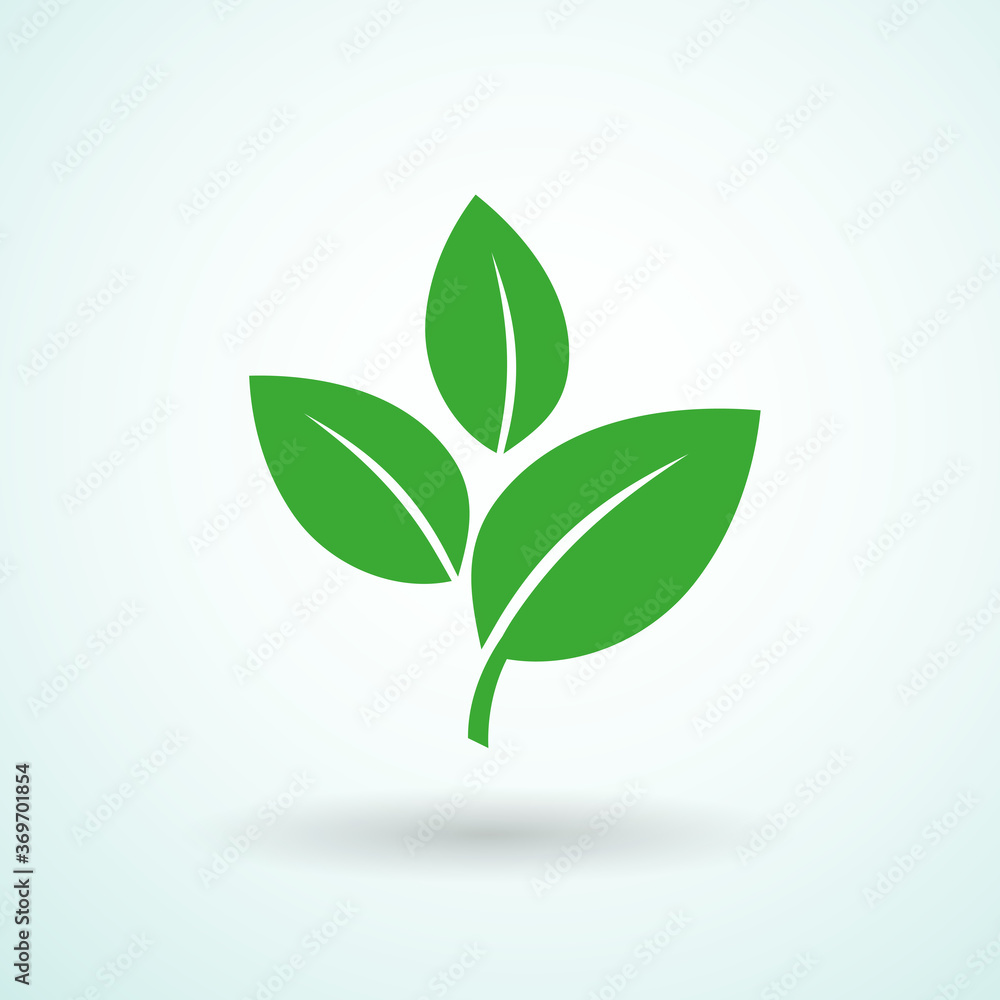 Leaves icon isolated on white background. Elements for eco and bio logos. Vector illustration.