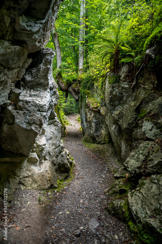 Wanderweg zu den Giessbachfällen durch die Felsen