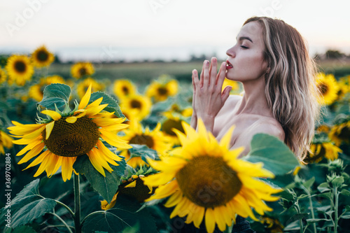 Young, slender girl topless poses at sunset in a field of sunflowers