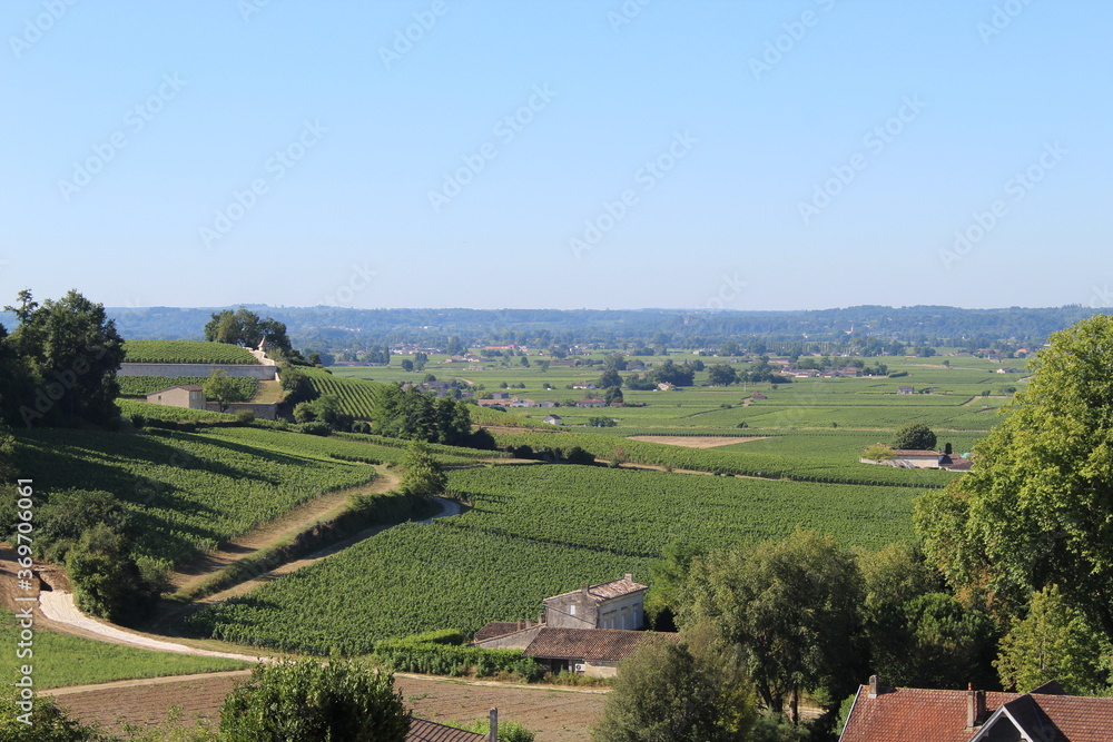 Naklejka premium Vignes Saint-Emilion