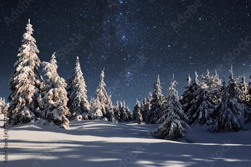 Fototapeta Naklejka Na Ścianę i Meble -  Starry sky in winter snowy night. Majestic landscape. Courtesy of NASA