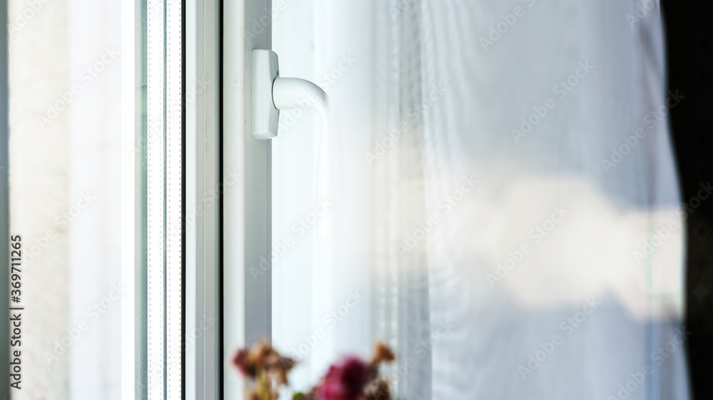 white curtains on plastic window and pot flower top closeup