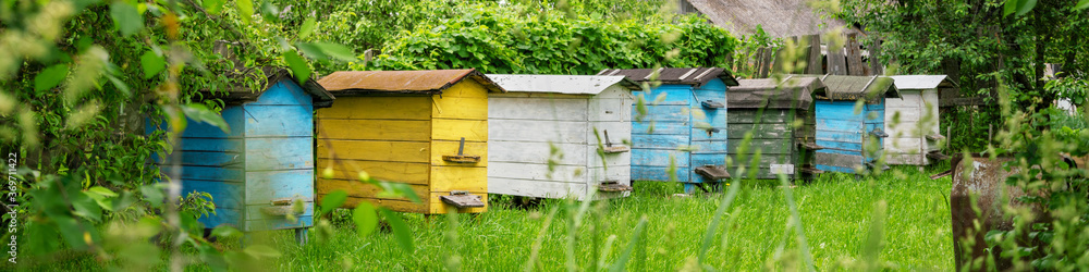 wooden coloured hives of honeybees located on green meadow wooden coloured hives of honeybees located on green meadow