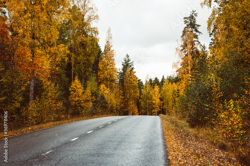 Beautiful moody scene of highway through Autumn forest.