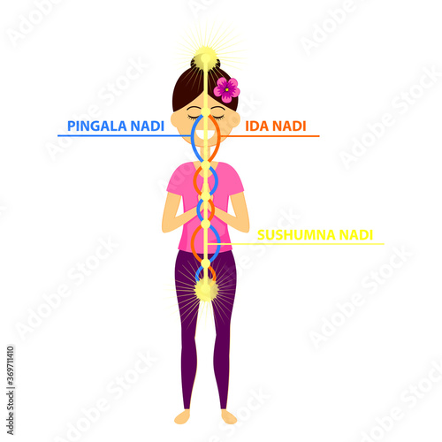 Vector illustration of beautiful woman character standing in yoga pose.The three main nadis: ida, pingala, and sushumna. photo