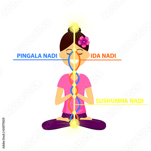 Vector illustration of beautiful woman character sitting in yoga pose.The three main nadis: ida, pingala, and sushumna. Energy channels.