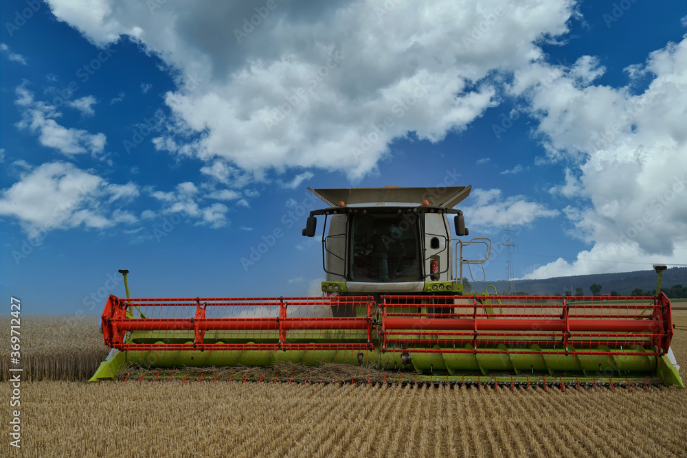 Fototapeta premium Eine Erntemaschine auf einem Feld bei der Ernte eines Weizenfeld