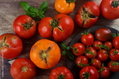 Abundance ripe organic tomatoes on dark rustic background. Colorful tomatoes 
