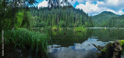 Fototapeta Naklejka Na Ścianę i Meble -  Rosu Lake - summer wide panorama. 