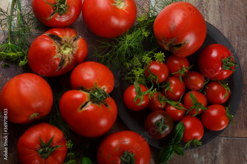 Red, ripe tomatoes and basil, dill on a dark background. Harvesting organic tomatoes