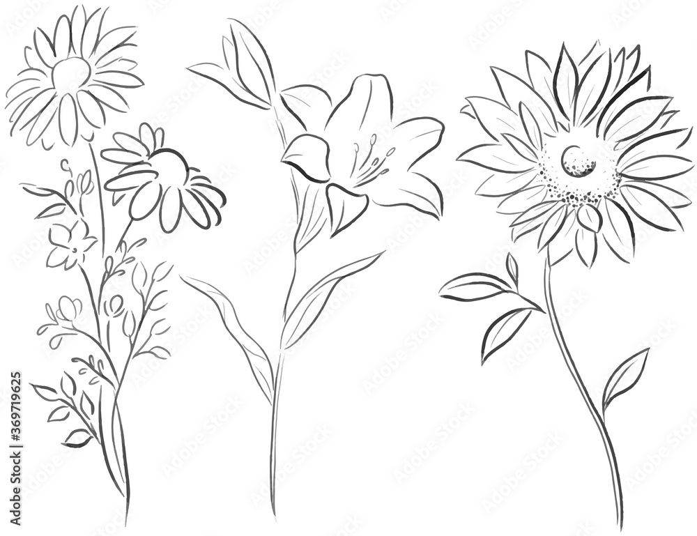 Beautiful flower line vector illustration Beautiful flower line vector illustration