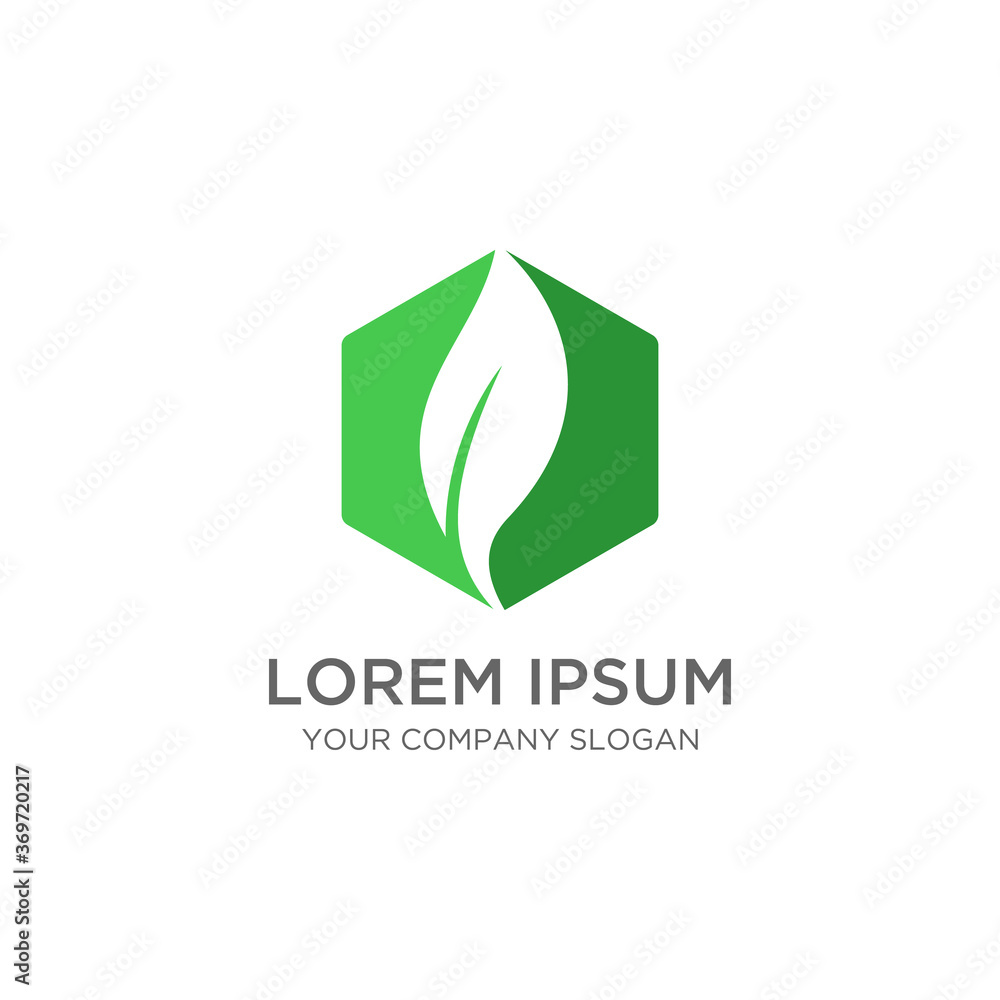 Fototapeta premium Green leaf vector logo design template.
