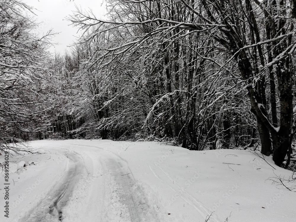 Obraz premium road in the snow