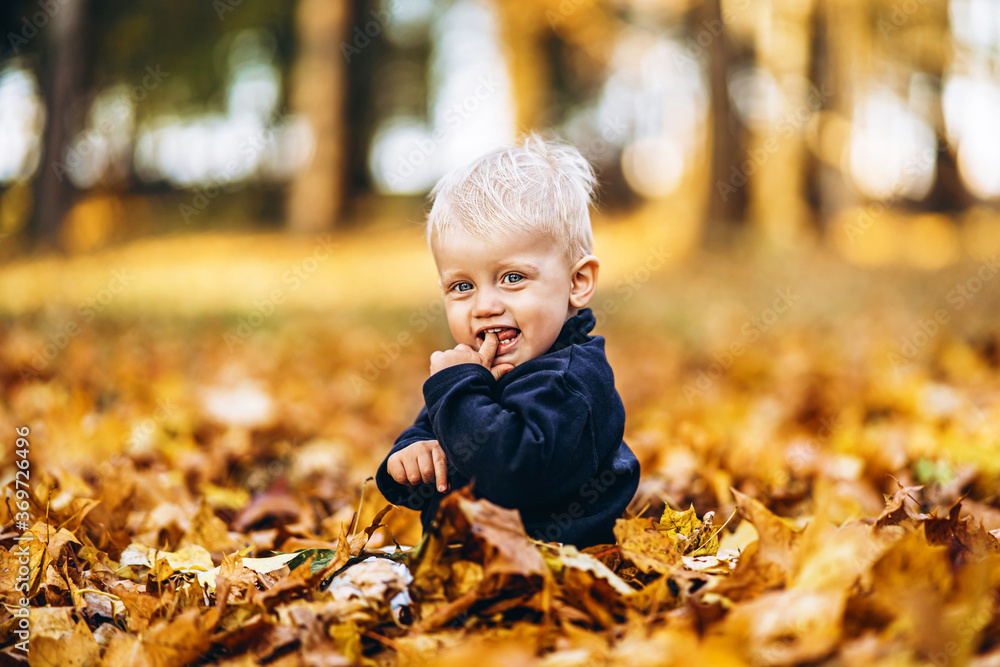 Little cute baby boy have fun outdoors in the park in autumn time. Little cute baby boy have fun outdoors in the park in autumn time.