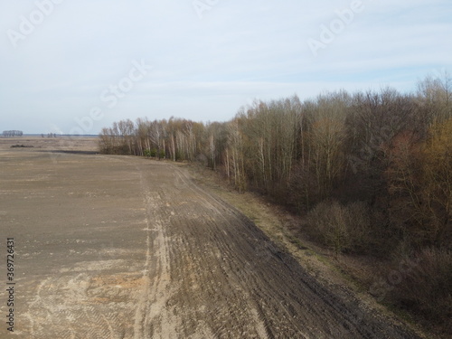 Agricultural field near the forest, aerial view. Landscape.