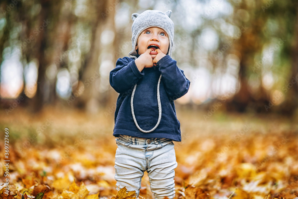 Little cute baby boy have fun outdoors in the park in autumn time. Little cute baby boy have fun outdoors in the park in autumn time.