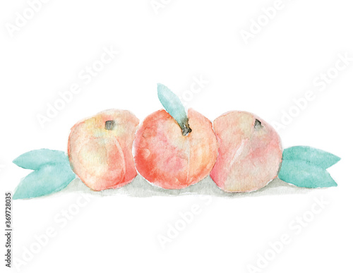 Three watercolor peaches with leaves.