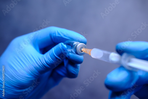 Wallpaper Mural Doctor hands in medical gloves holds syringe and vaccine. Torontodigital.ca